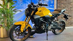 Honda CB 300 R (2022 - 25) 