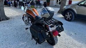 Harley-Davidson 1200 Custom (2004 - 06) - XL 1200C 