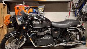 Triumph Bonneville T100 (2008 - 16) 