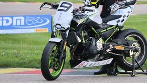 Kawasaki Z 650 (2021 - 24) 