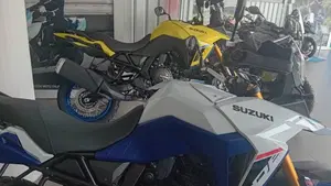 Suzuki V-Strom 800DE (2025 - 26)  (4)