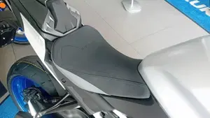 Suzuki GSX-S1000 EVO (2025 - 26)  (7)