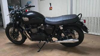 Triumph Bonneville T100 (2008 - 16) usata