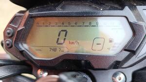 Benelli BN 125 (2021 - 25) 