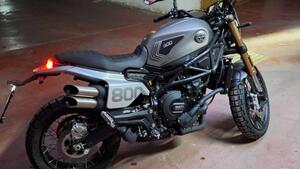 Benelli Leoncino 800 Trail (2022 - 25) 