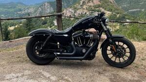 Harley-Davidson 883 Iron (2009 - 11) - XL 883N 