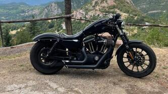Harley-Davidson 883 Iron (2009 - 11) - XL 883N usata