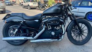 Harley-Davidson 883 Iron (2012 - 14) - XL 883N 