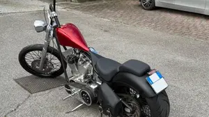  Altre moto o tipologie Special  (6)