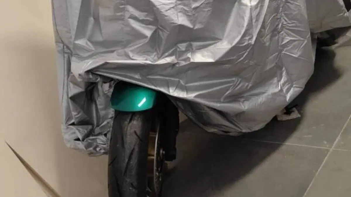 Kawasaki Z 650 RS (2022 - 24)  (4)