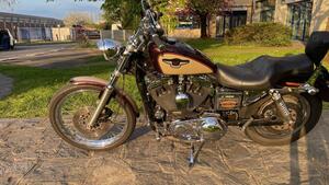 Harley-Davidson 1200 Custom (1995 - 00) - XL 1200C 
