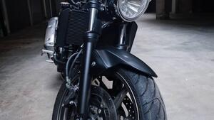 Suzuki SV650 (2021 - 24) 