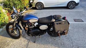 Triumph Street Scrambler 900 Gold Line Edition (2021 - 23) 