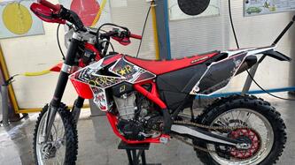 Betamotor RR 450 4T Enduro (2013)