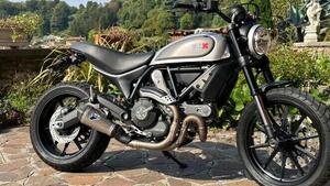 Ducati Scrambler 800 Icon (2017 - 20) 