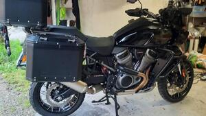 Harley-Davidson Pan America 1250 Special (2020 - 25) 