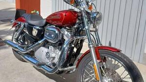 Harley-Davidson 883 Custom (2008 - 12) - XL 883C 