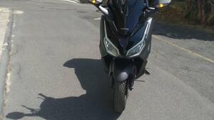 Honda Forza 350 (2022 - 24) 