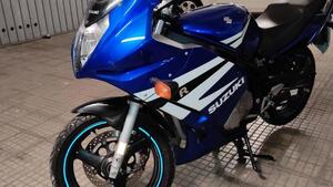 Suzuki GS 500 F (2004 - 06) 