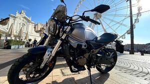 Voge Trofeo 300ACX Scrambler (2021 - 25) 