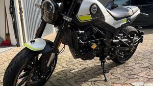 Benelli Leoncino 250 (2019 - 20) 