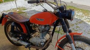 Ducati  
