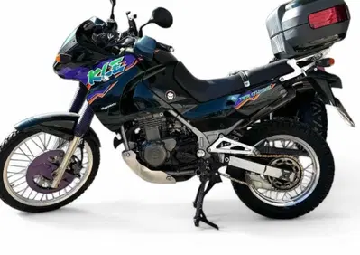 Kawasaki KLE 500 (1991 - 00) - Annuncio 9684703