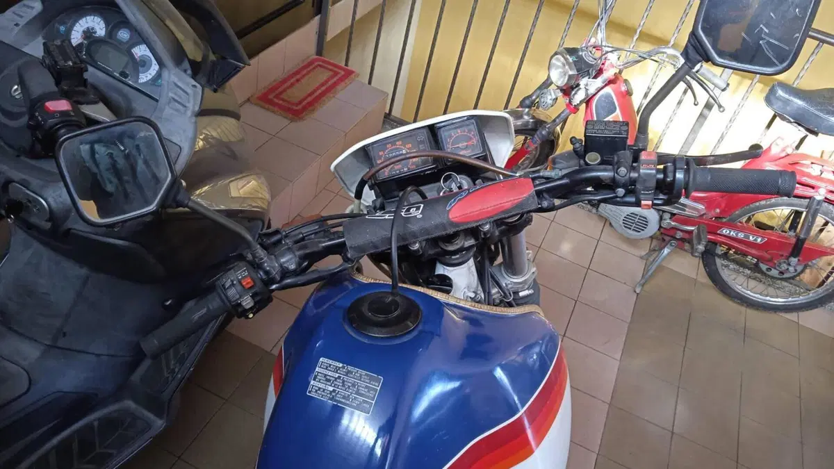 Honda   (5)