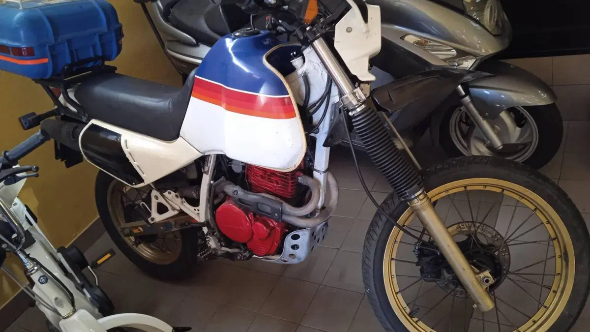 Honda   (8)
