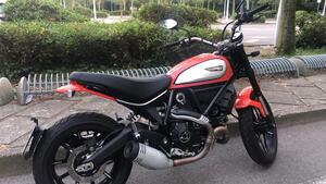 Ducati Scrambler 800 Icon (2017 - 20) 