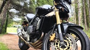 Honda Hornet 600 (2007 - 10) 