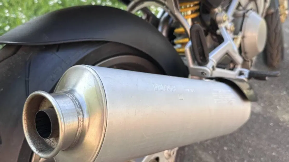 Ducati   (5)