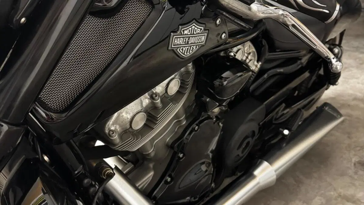 Harley-Davidson 1250 V-Rod Muscle (2009 - 17) - VRSCF  (12)