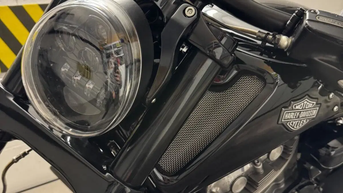 Harley-Davidson 1250 V-Rod Muscle (2009 - 17) - VRSCF  (13)