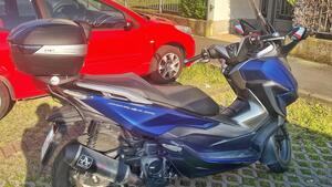 Honda Forza 350 (2022 - 24) 