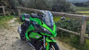 Kawasaki Z 1000 SX Tourer (2017 - 20)  (3)