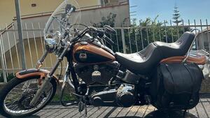 Harley-Davidson 1584 Custom (2008 - 09) - FXSTC 