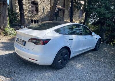 Tesla Model 3 Model 3 Standard RWD Plus  usata