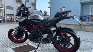Kawasaki Z 650 (2021 - 24) 