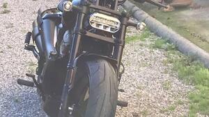 Harley-Davidson Sportster S (2022 - 24) 