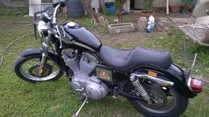 Harley-Davidson 883 Standard (2001 - 05) - XL 883 