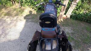 Honda CMX 500 Rebel (2022 - 24) 