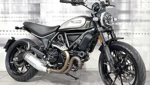 Ducati Scrambler 800 Icon (2021 - 22) 