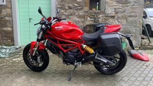 Ducati Monster 797 (2019 - 20) 