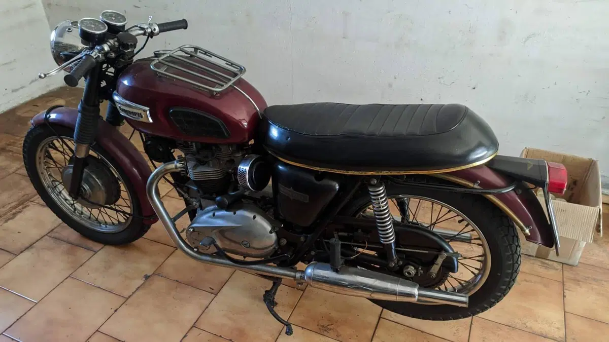 Triumph   (2)