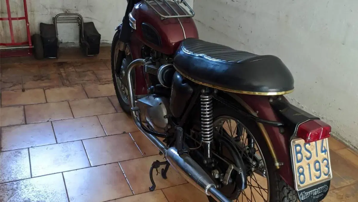 Triumph   (5)