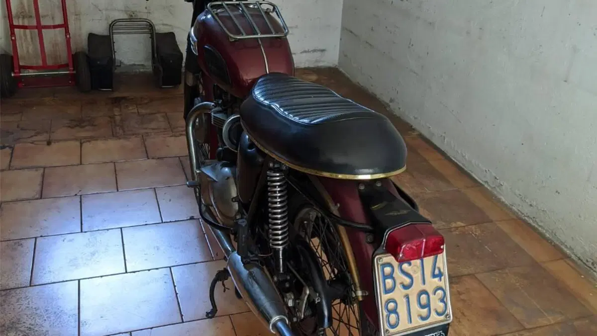 Triumph   (6)
