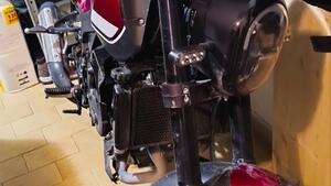 Benelli Leoncino 250 (2021 - 25) 