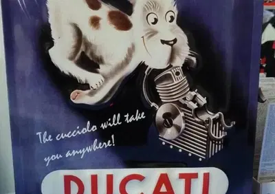 INSEGNA METAALLO CUCCIOLO DUCATI - Annuncio 9689734