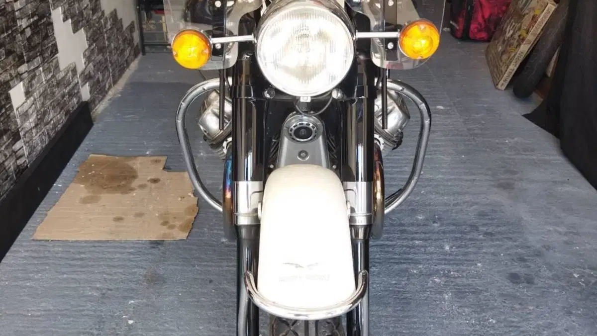 Moto Guzzi   (14)